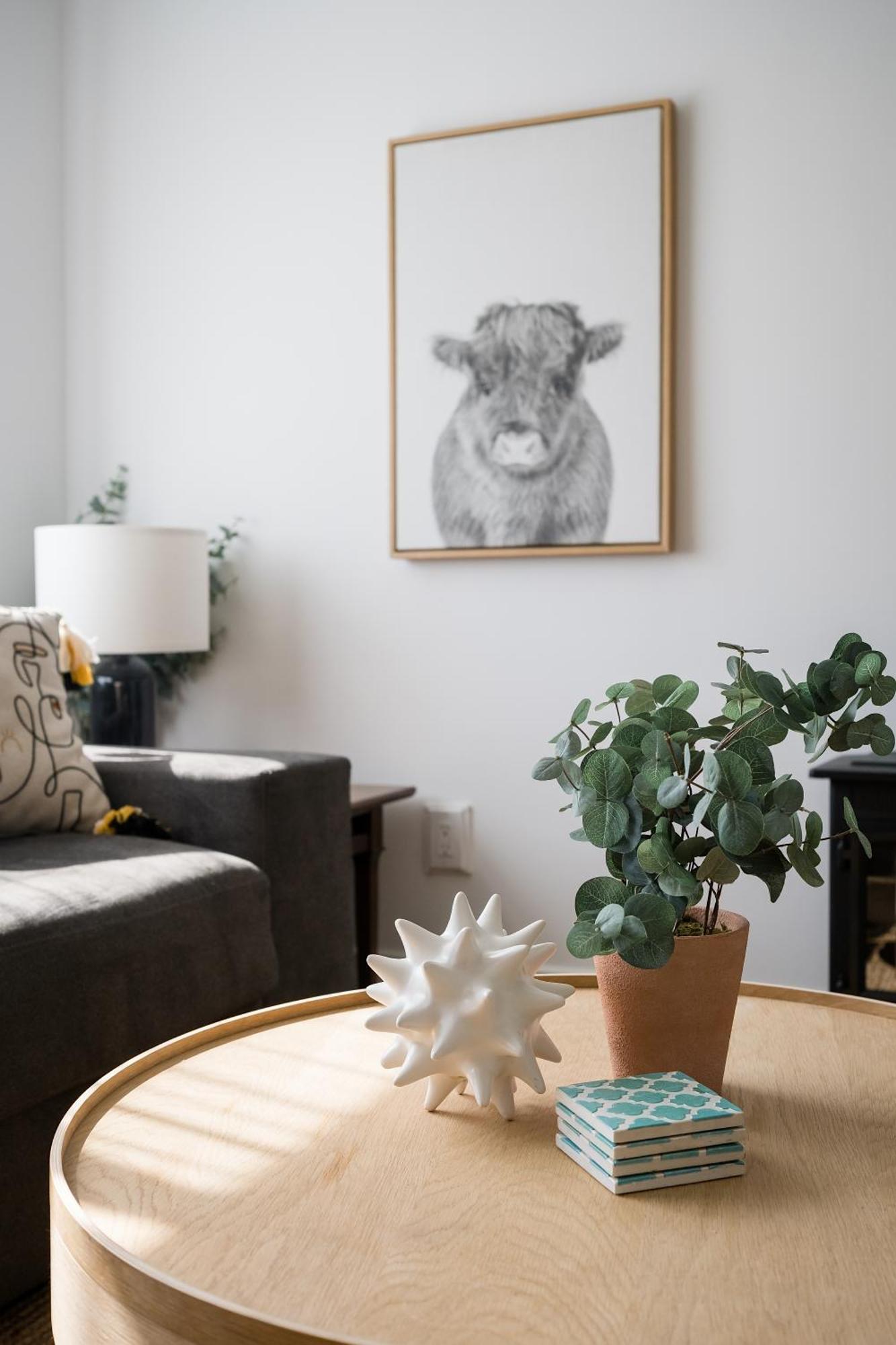 The Darcie House - Cozy, Pet-Friendly Home In Pec ピクトン エクステリア 写真